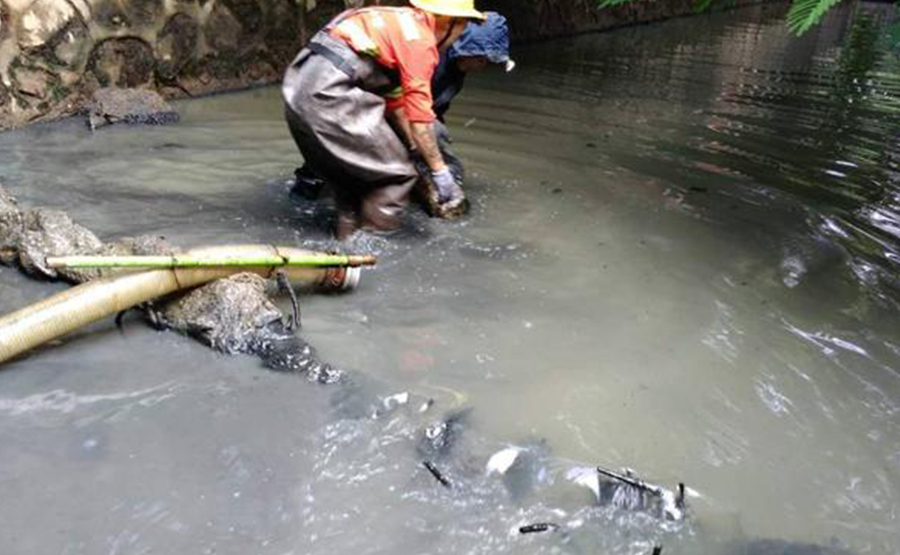 河道污泥脫水機：治理水環(huán)境的環(huán)保利器